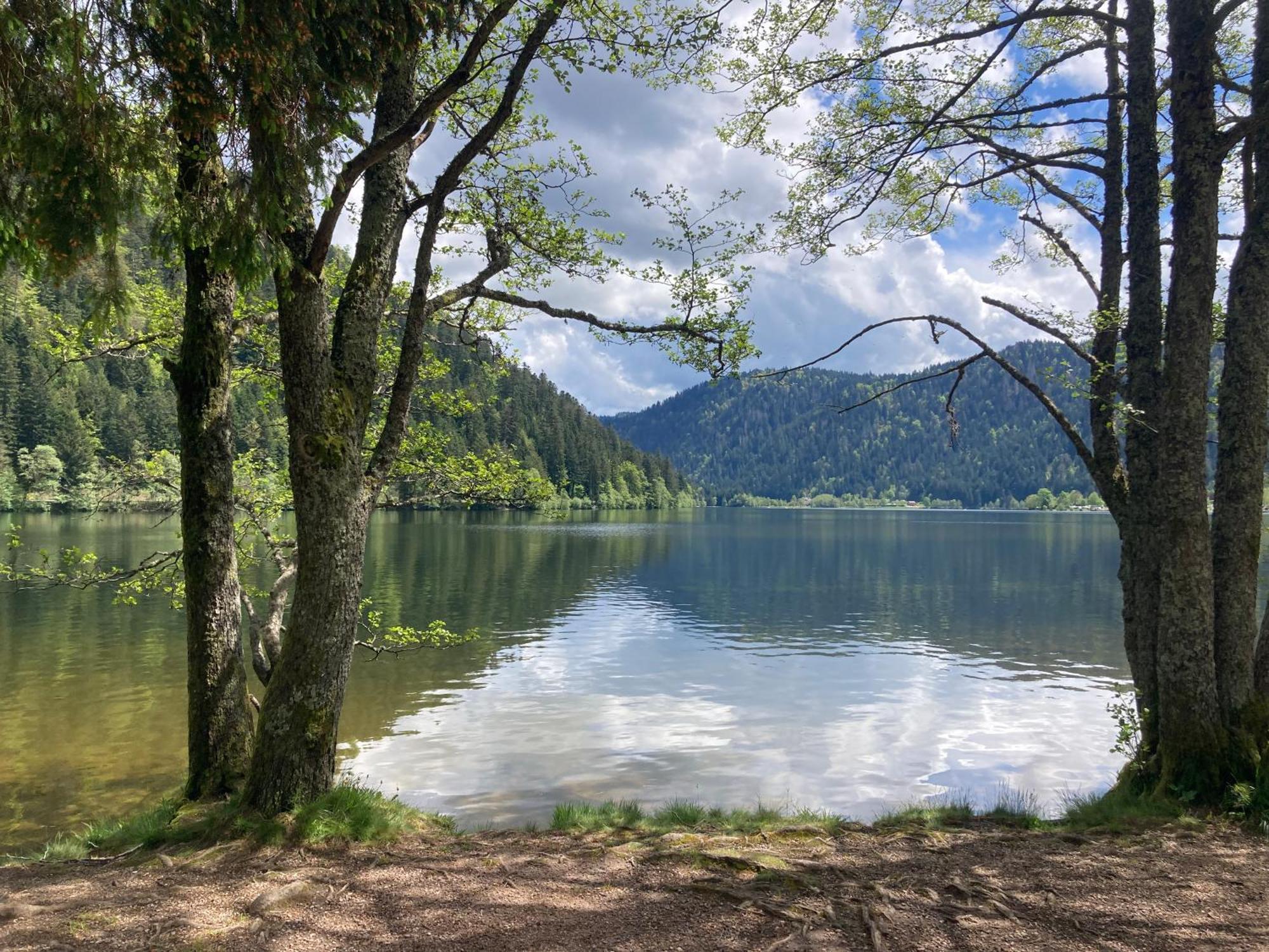 Le Perchoir, Gite 7 Personnes, Le Grand Valtin Ban-sur-Meurthe-Clefcy エクステリア 写真